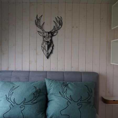 Villa Tinyhouse Heimatglueck Bad Berleburg Esterno foto